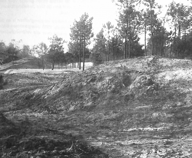 sj35-008||https://www.heemkundekringbakelenmilheeze.nl/files/images/jozefsheil-35-jaar/sj35-008_128.jpg