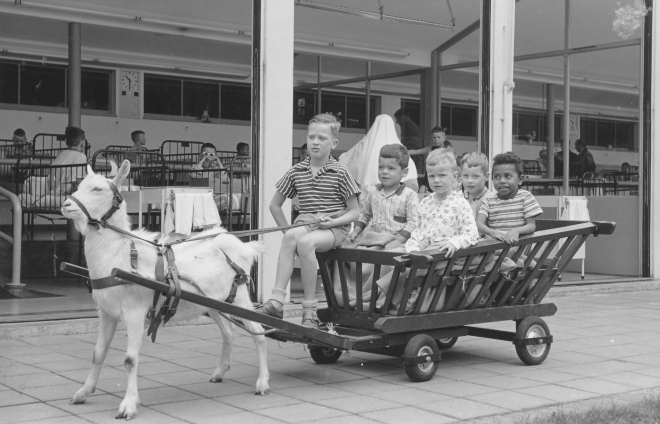 sj35-055-1||https://www.heemkundekringbakelenmilheeze.nl/files/images/jozefsheil-35-jaar/sj35-055-1_128.jpg