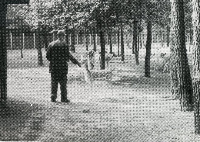 sj35-079-2||https://www.heemkundekringbakelenmilheeze.nl/files/images/jozefsheil-35-jaar/sj35-079-2_128.jpg