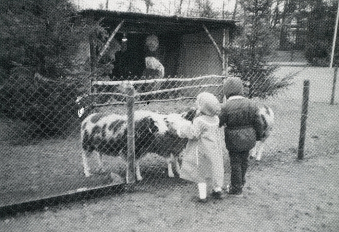 sj35-081||https://www.heemkundekringbakelenmilheeze.nl/files/images/jozefsheil-35-jaar/sj35-081_128.jpg