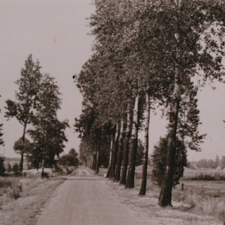 026-Een oud plaatje van ’t Ven in Bakel.