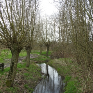 027-Het “Wim Vloetpad”. Wim Vloet was mede-oprichter van het IVN in Bakel en Milheeze. Na zijn te vroege overlijden is dit natuurpad, waar hij het initiatief voor nam, naar hem genoemd.