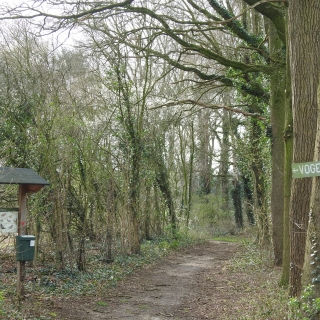 028-Vogelkijkpad “De Mirre” is gelegen aan het Geneneind in Bakel. Het pad biedt een prachtig uitzicht op de bolle akkers aan de noordzijde van het dorp.