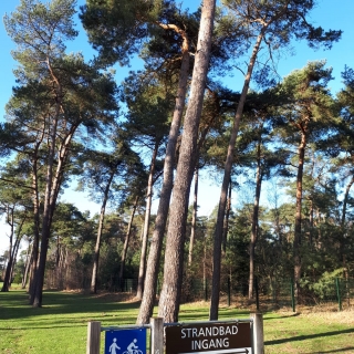 034-Strandbad Nederheide in Milheeze. Mooie natuur bij een grote zwemvijver met fraai zandstrand en ligweide.