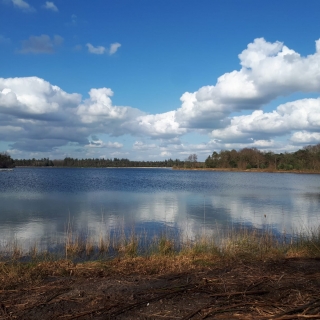 035-De Bakelse Plassen in Milheeze. Na jaren van zandwinning en grondverzet is een gedeelte van de oevers al veranderd in een mooi overgangsgebied tussen water en bos.