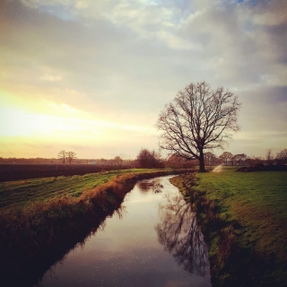 036-Zomaar een mooi plaatje van prachtige natuur die in onze dorpen te vinden is.