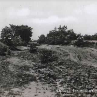 065-Oude doorgaande weg van Milheeze naar Venray. Iedereen, ook uit omliggende dorpen, moest via deze enige begaanbare route naar Venray.