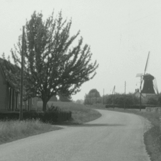 066-Milheeze, zicht op de molen vanaf de Schutsboom.