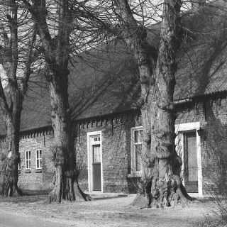 182-Geneneind in Bakel.