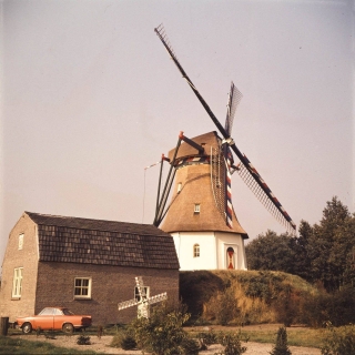 290-Molen Milheeze.