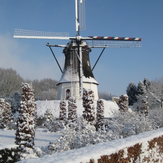 292-Molen Milheeze.