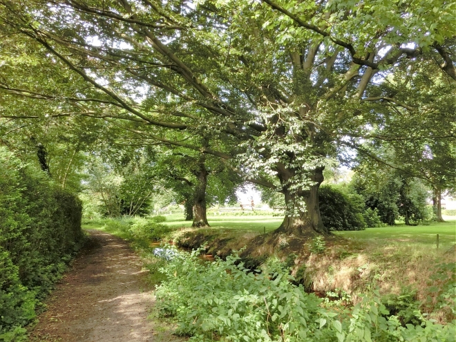 cimg1386-2||https://www.heemkundekringbakelenmilheeze.nl/files/images/wandelroutes/cimg1386-2_128.jpg