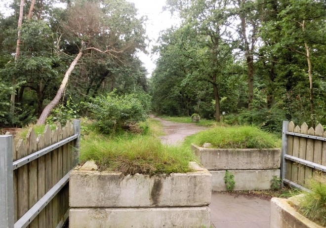 cimg1449-2||https://www.heemkundekringbakelenmilheeze.nl/files/images/wandelroutes/cimg1449-2_128.jpg